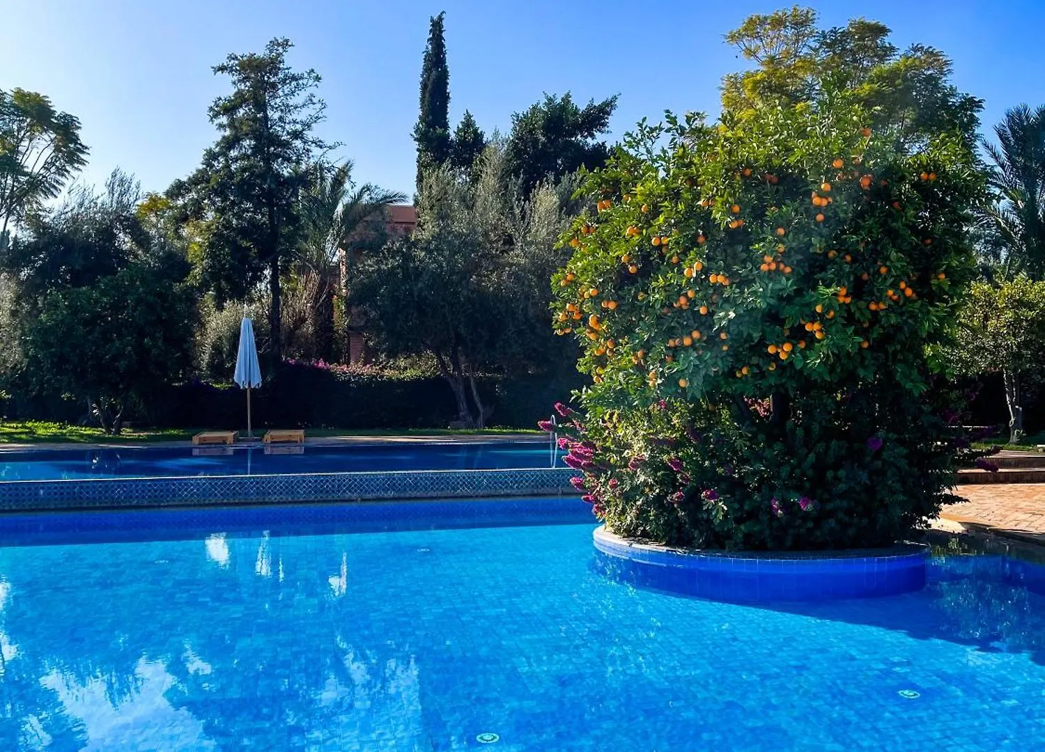 דירה מרקש Au Coeur De La Palmeraie De Marrakech