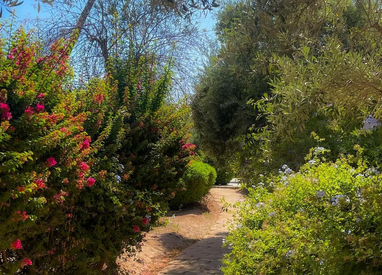 דירה מרקש Au Coeur De La Palmeraie De Marrakech